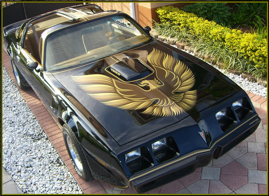  1979 Pontiac Trans Am this car is real rare find see photos below