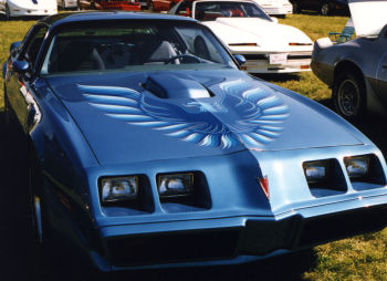 1978-80 Trans Am Hood Decal