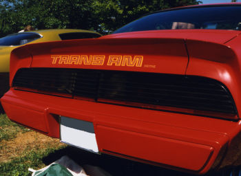 1978-80 Trans Am Tail Decal